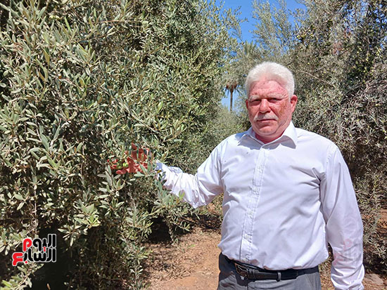 المهندس-بهاء-شبانة المهندس-بهاء-شبانة