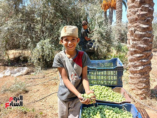 فرحة-الأطفال فرحة-الأطفال