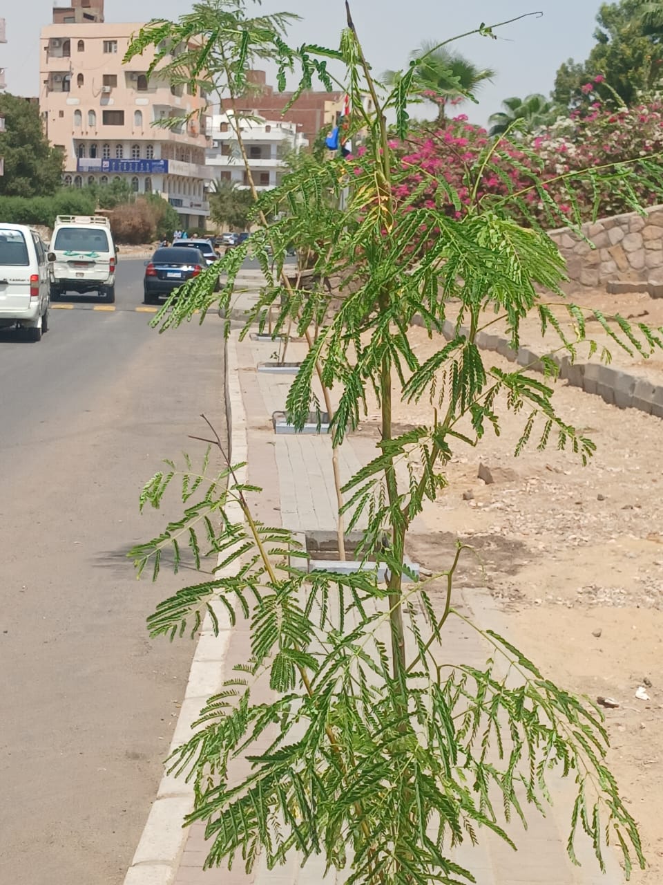 طريق السادات طريق السادات