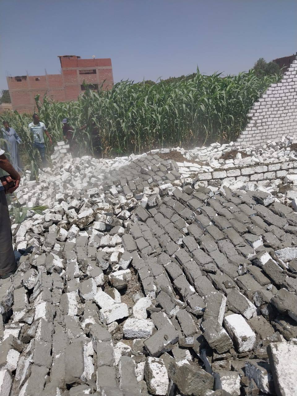 تعديات على الأراضى الزراعية