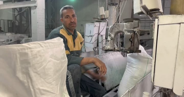 تعبئة السكر 