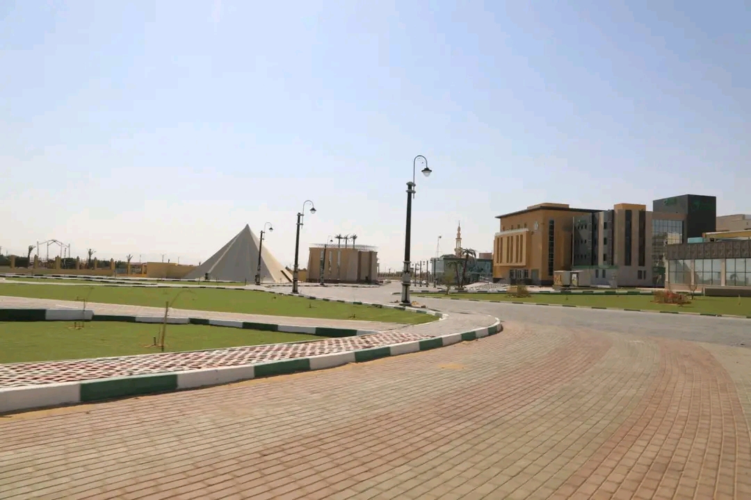 الوادى الجديد تحتفل بعيدها القومى رقم 66 الوادى الجديد تحتفل بعيدها القومى رقم 66
