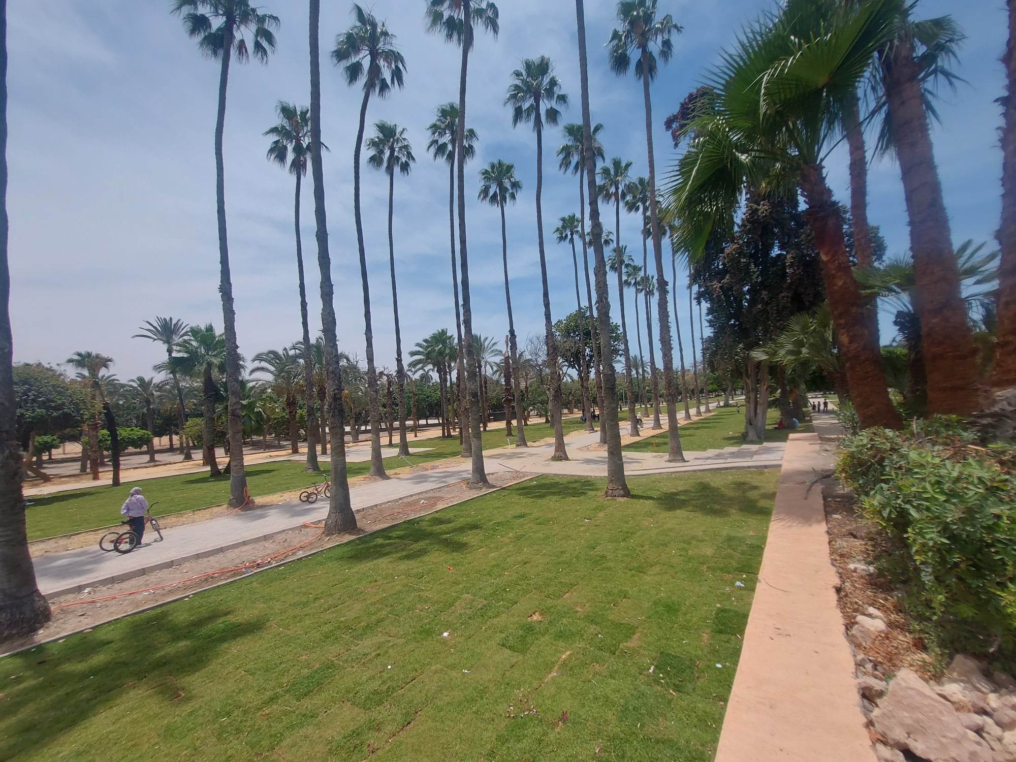 جمال الحديقة بعد التطوير