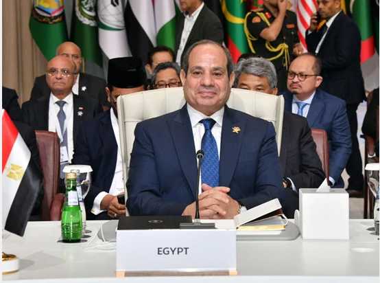 الرئيس السيسي