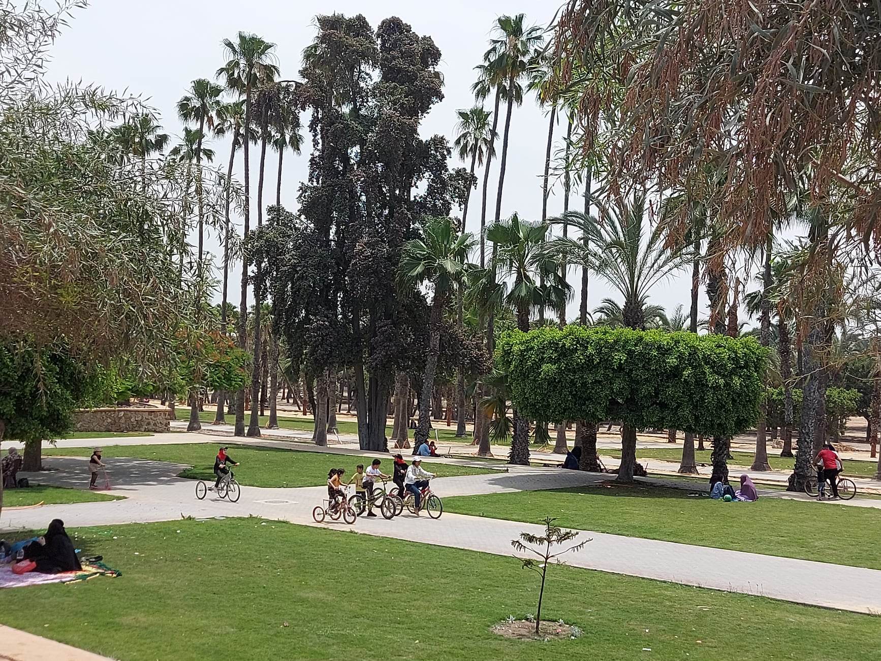 اقبال المواطنين_1