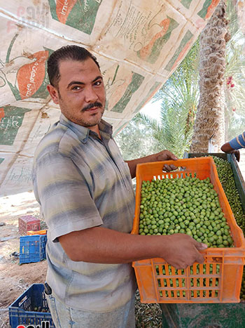 بشاير-الخير بشاير-الخير
