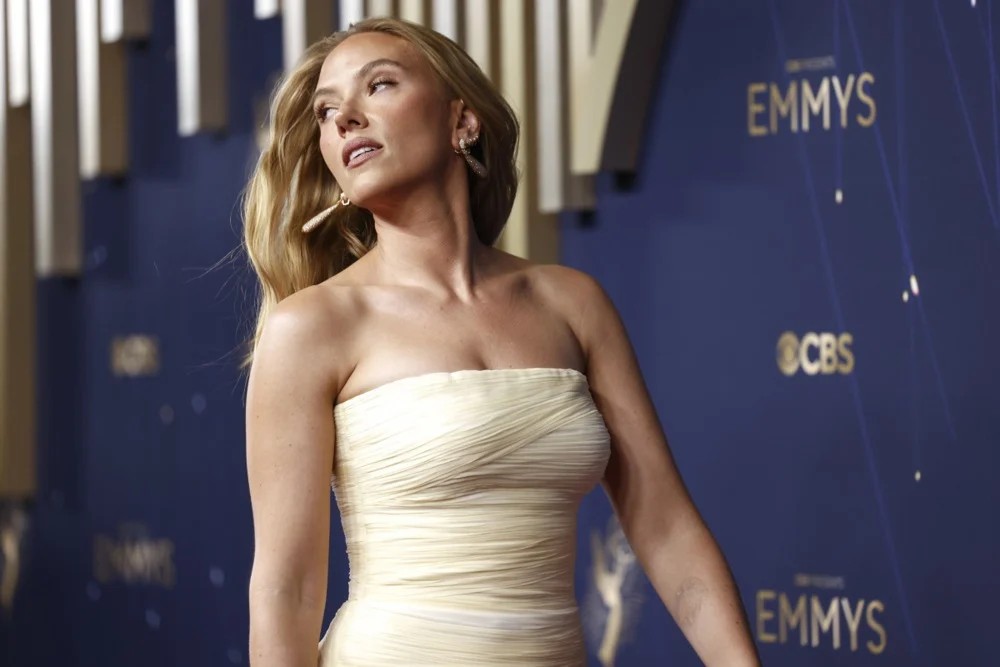 حفل  Emmy Awards (5)