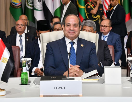 زيارة الرئيس السيسي لقطر (6)