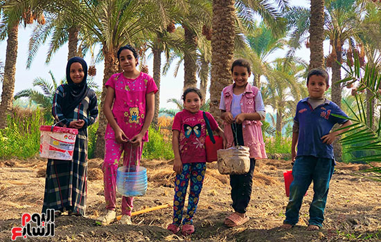 تجمع الأطفال في موسم الحصاد