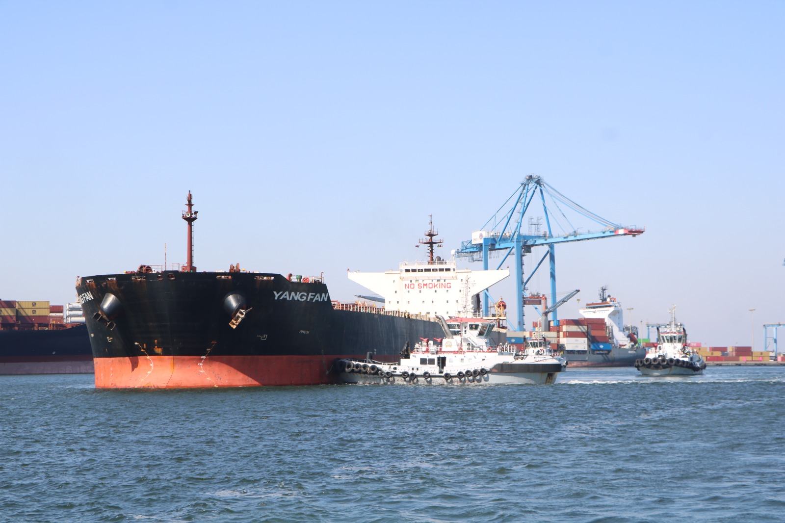 ميناء دمياط يستقبل سفينة ضخمة بحمولة هى الأكبر فى تاريخه (3)