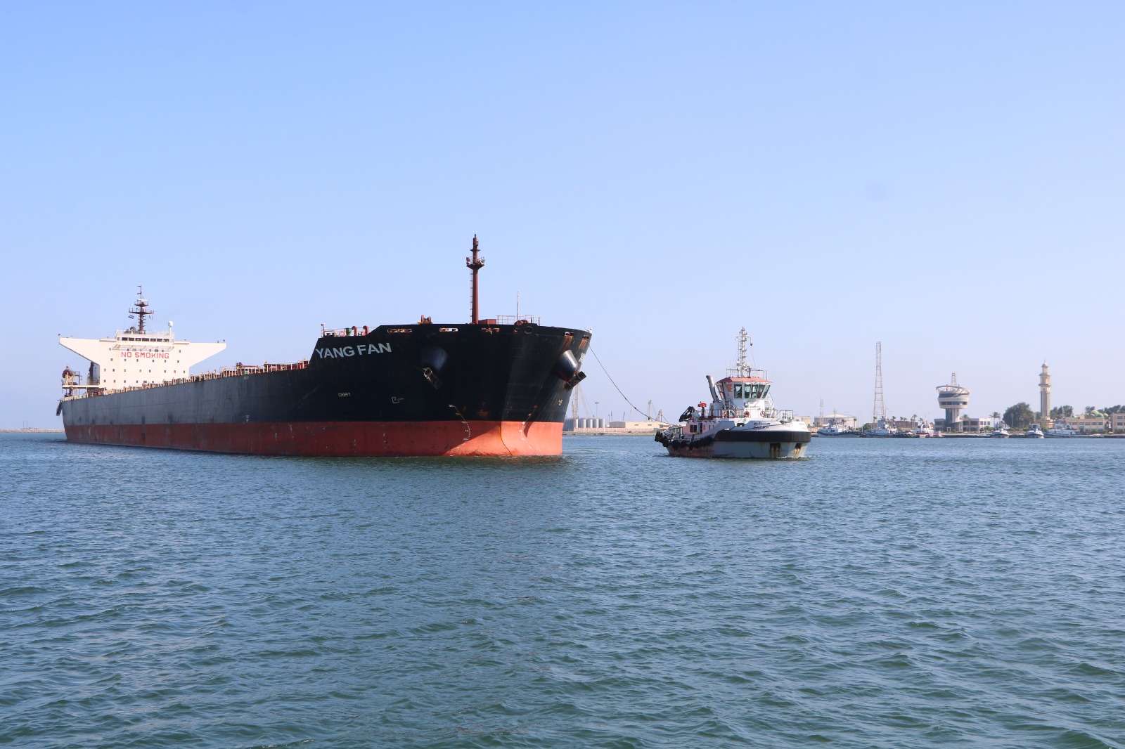 ميناء دمياط يستقبل سفينة ضخمة بحمولة هى الأكبر فى تاريخه (4)