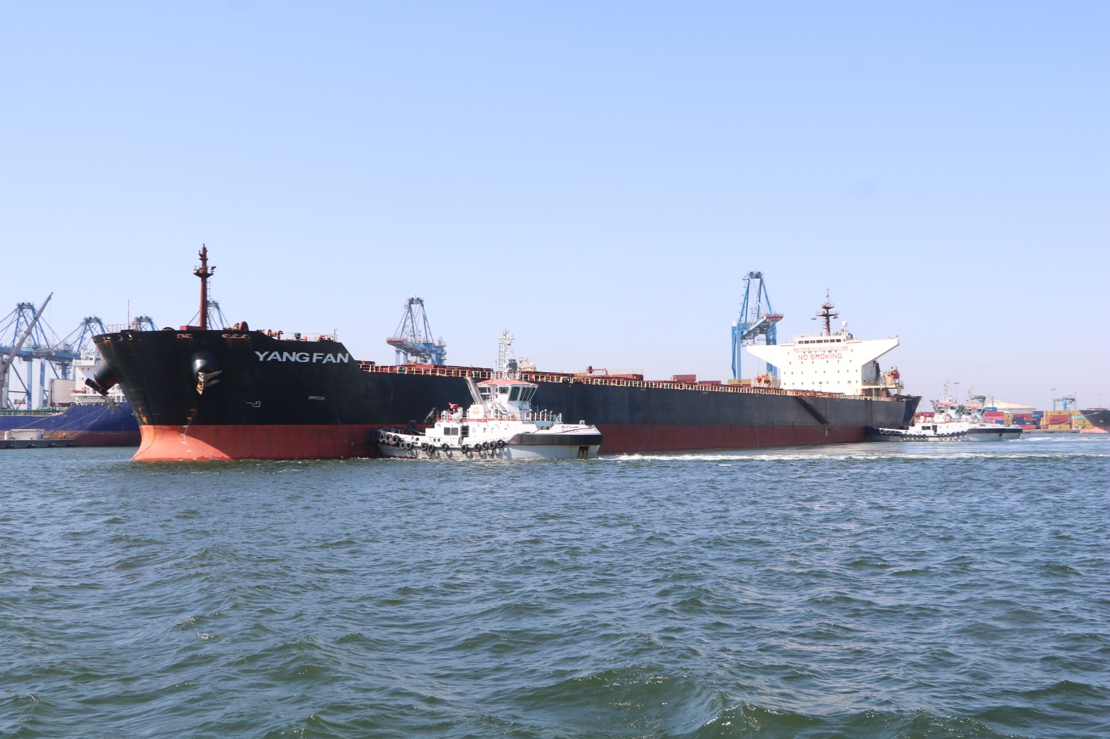 ميناء دمياط يستقبل سفينة ضخمة بحمولة هى الأكبر فى تاريخه (1)