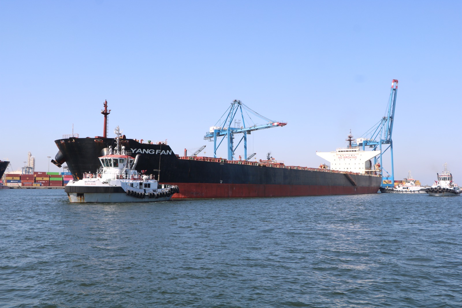 ميناء دمياط يستقبل سفينة ضخمة بحمولة هى الأكبر فى تاريخه (2)