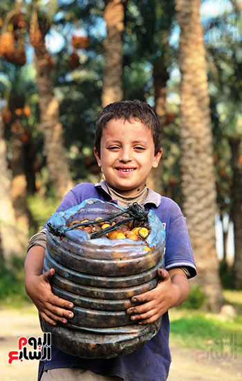 فرحة طفل بالتمور