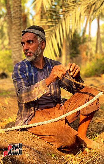 عامل باليومية في موسم الحصاد