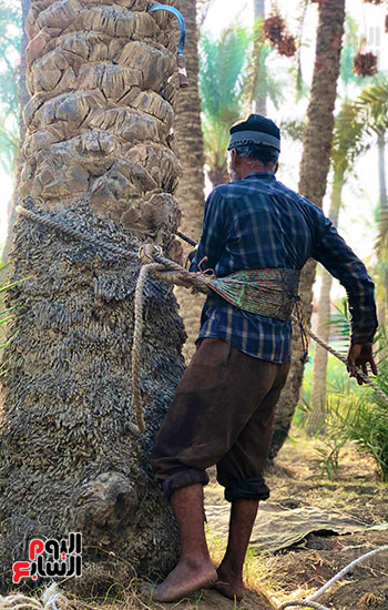 a21b4ca1-5837-4f50-b918-2bf1068190ce