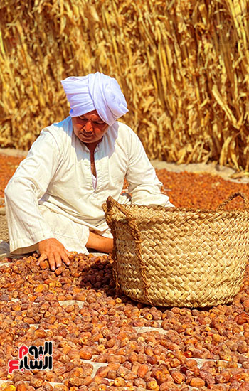 d89d05cb-73d2-4ecc-a654-d8dd9ae9393d