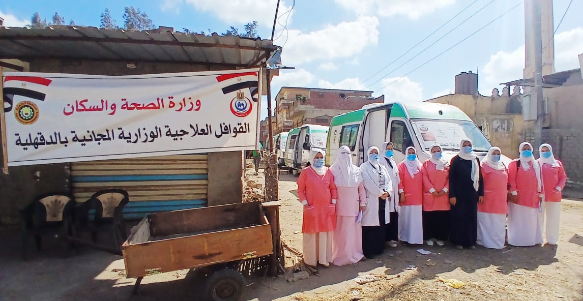 قافلة علاجية فى محافظة الدقهلية والأسر تتوافد عليها (2)