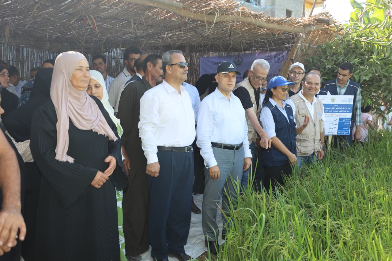 محافظ كفرالشيخ يتفقد تجربة زراعة الأرز الجاف بمدرسة الأرز الحقلية