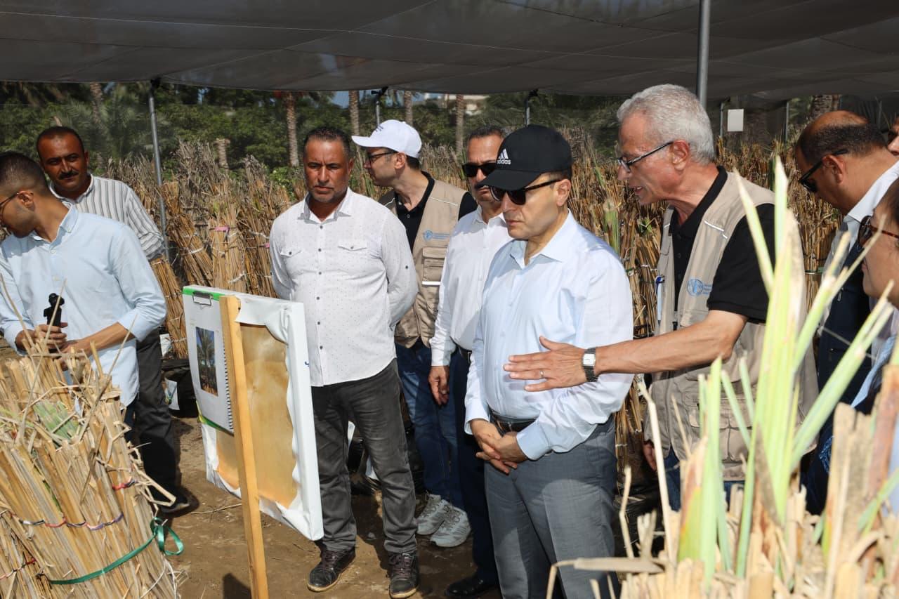 جانب من جولة المحافظ