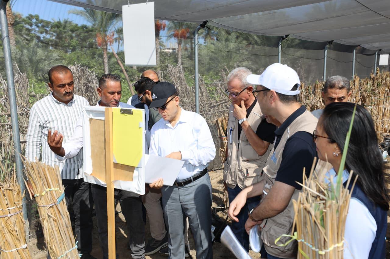 محافظ كفر الشيخ يتابع أنواع مشاتل النخيل