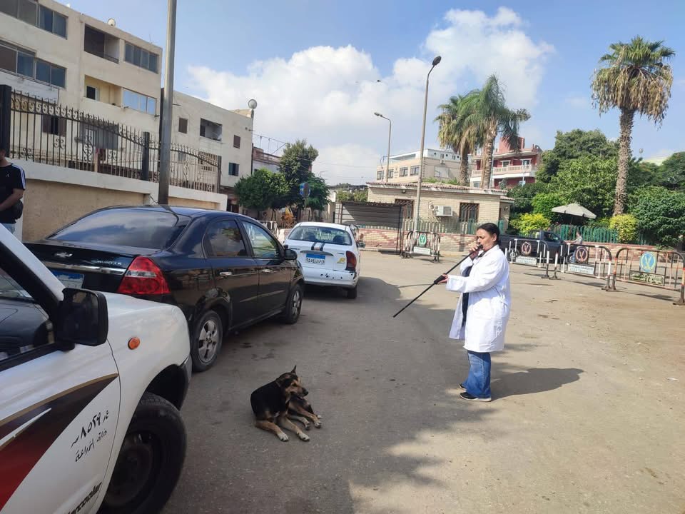 تحصين الكلاب الحرة بالمنطقة الأثرية تحصين الكلاب الحرة بالمنطقة الأثرية