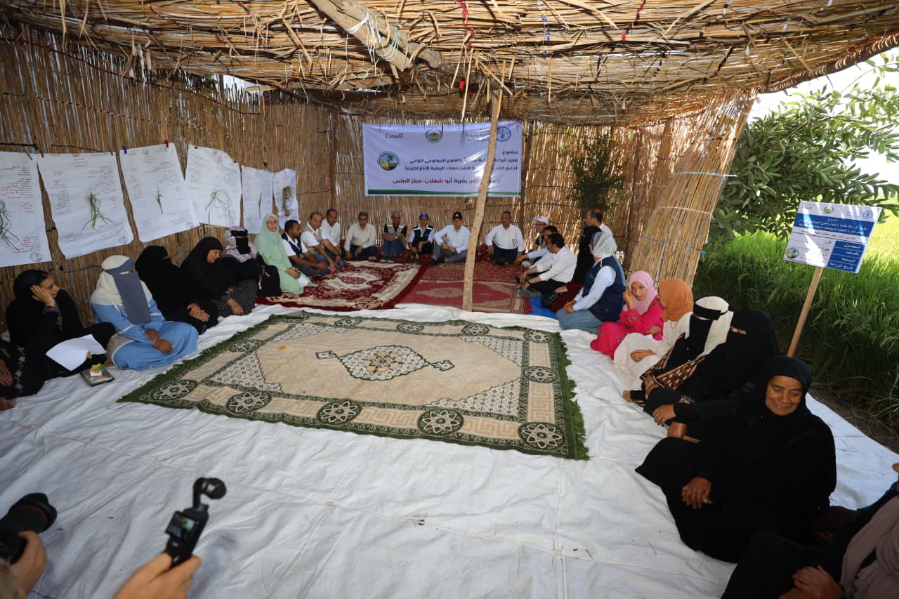 محافظ كفر الشيخ مع المزارعين والمزارعات