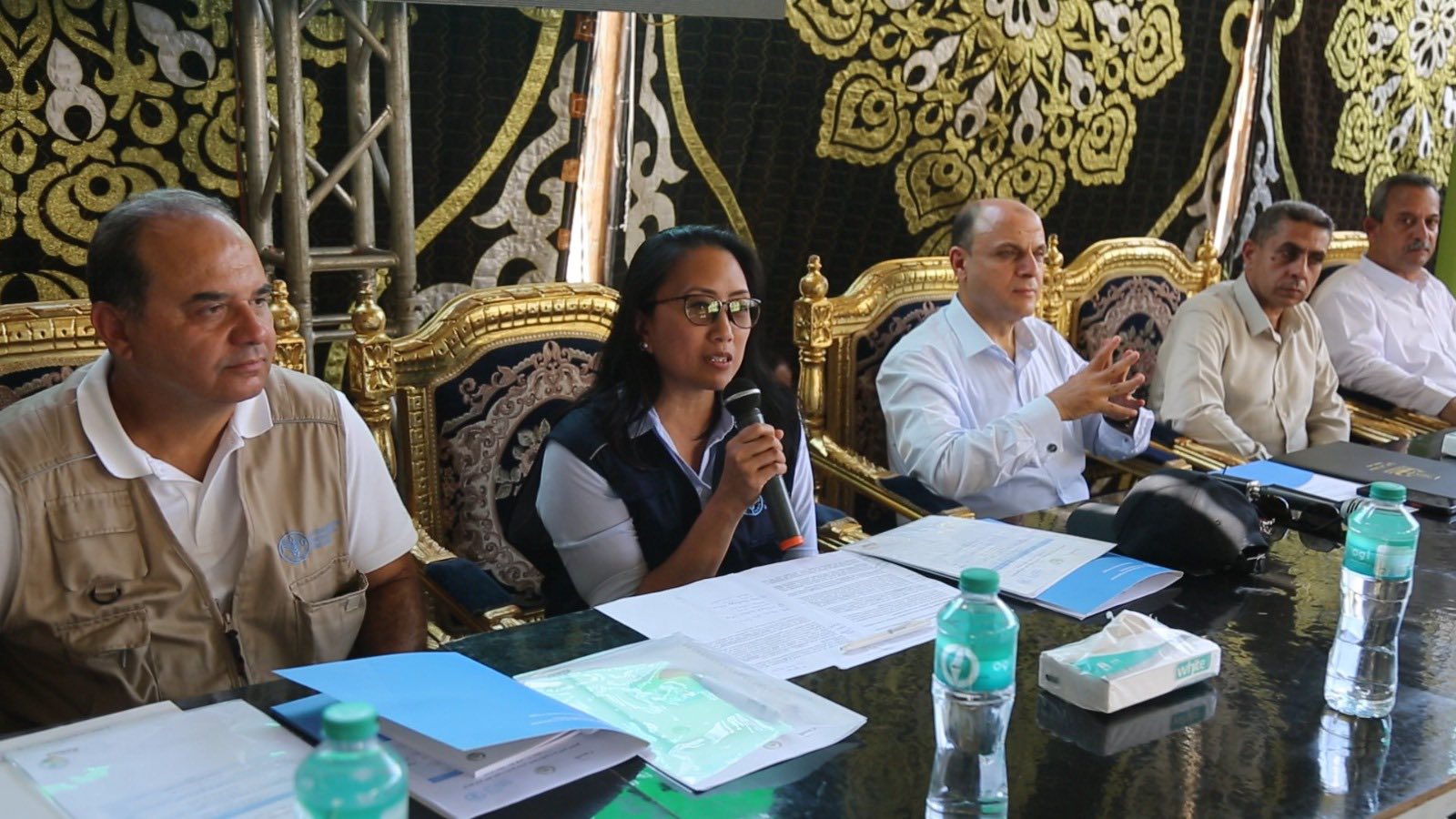 المسئول عن منمة الفاو في مصر