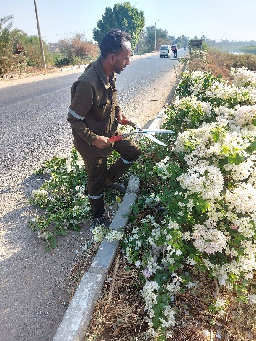 حملات النظافة والتجميل فى شوارع مدينة الطود قبل المدارس حملات النظافة والتجميل فى شوارع مدينة الطود قبل المدارس