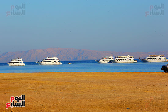 الرحلات البحرية