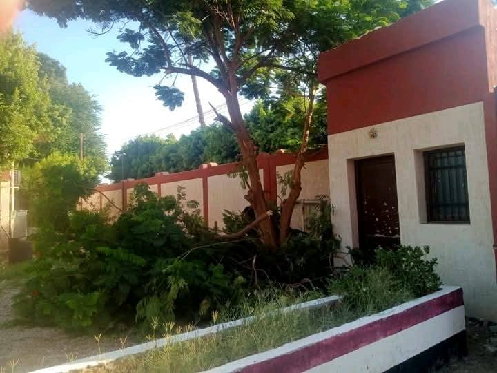 حملات النظافة وتهذيب الأشجار حول مدارس أرمنت استعدادًا للعام الدراسي حملات النظافة وتهذيب الأشجار حول مدارس أرمنت استعدادًا للعام الدراسي