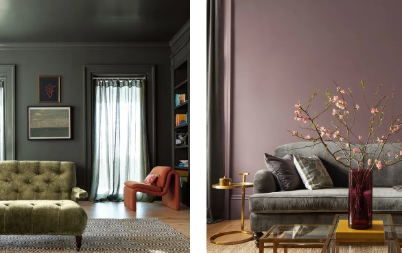 درجات لون البرقوق