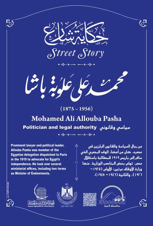 حكاية شارع محمد على علوبة