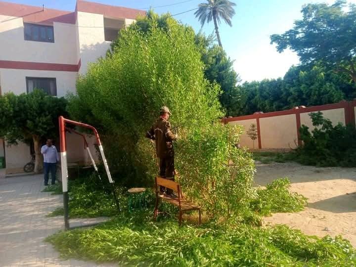 حملات النظافة وتهذيب الأشجار حول مدارس أرمنت استعدادًا للعام الدراسي الجديد حملات النظافة وتهذيب الأشجار حول مدارس أرمنت استعدادًا للعام الدراسي الجديد