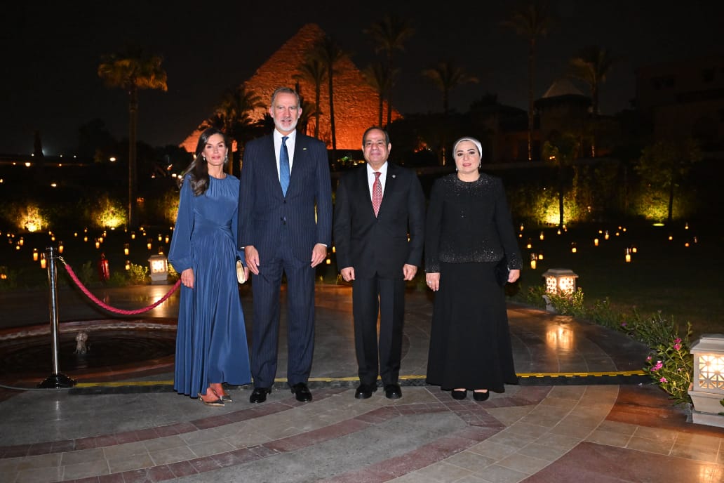 الرئيس السيسى (3)