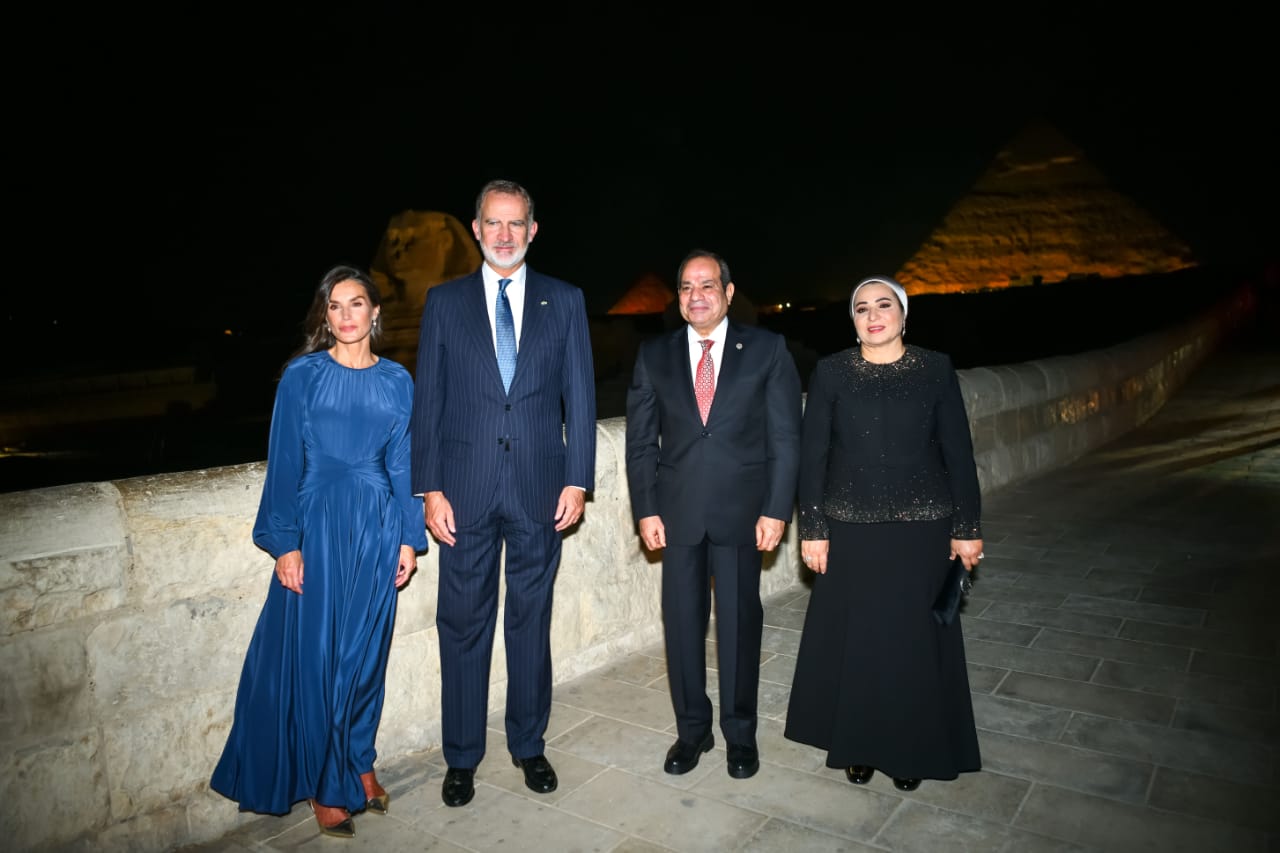 الرئيس السيسى (1)