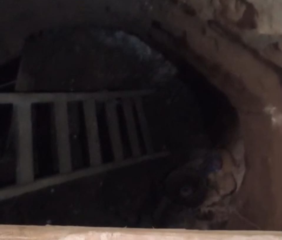 جانب من التنقيب عن الآثار بصحة قنا جانب من التنقيب عن الآثار بصحة قنا