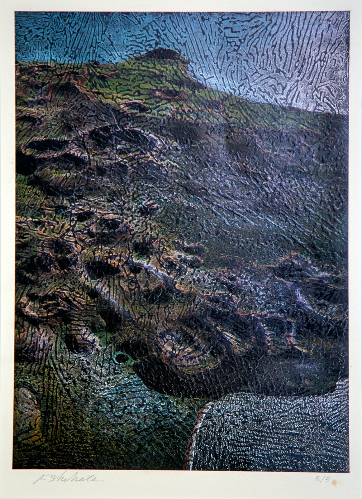 الفنان فاروق شحاته