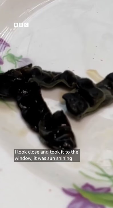 ما اكتشفته العجوز