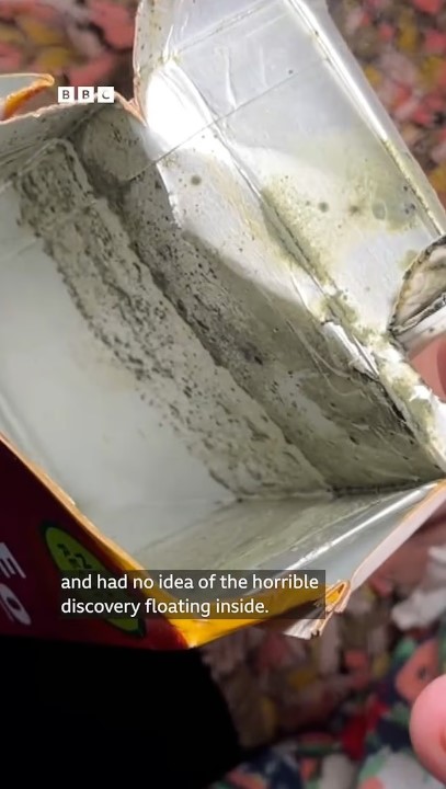 داخل علبة العصير