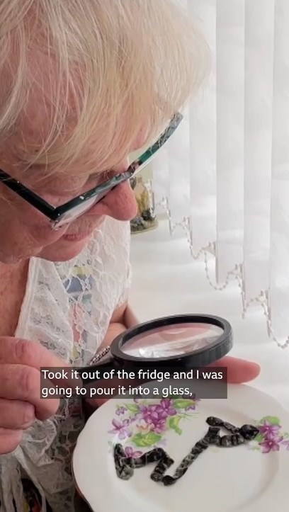 ما اكتشفته العجوز داخل العلبة