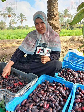 ام-السيد--تساعد-زوجها