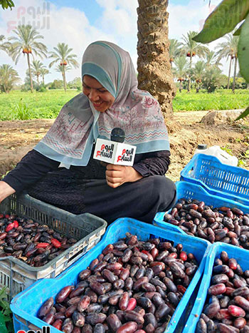 ابتسامة-الرضا