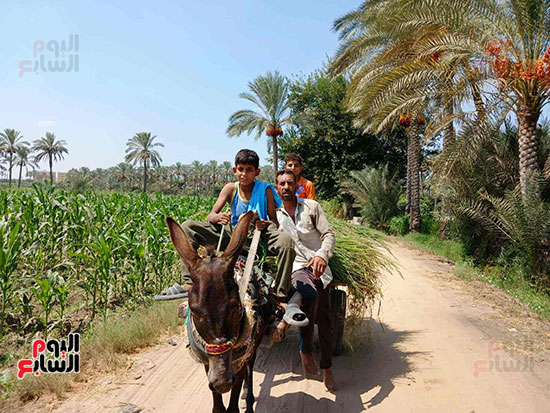 اسرة-من-القرين