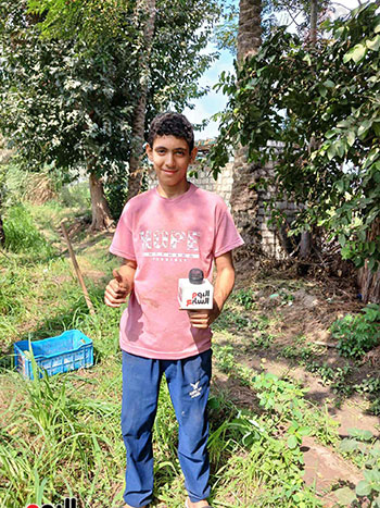 نجل-العم-سعيد-يساعده-فى-حصاد-البلح