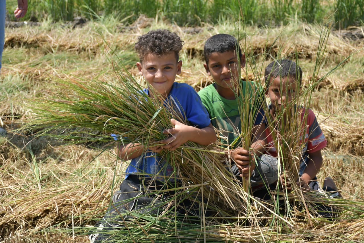 فرحة اولاد الفلاحين فرحة اولاد الفلاحين