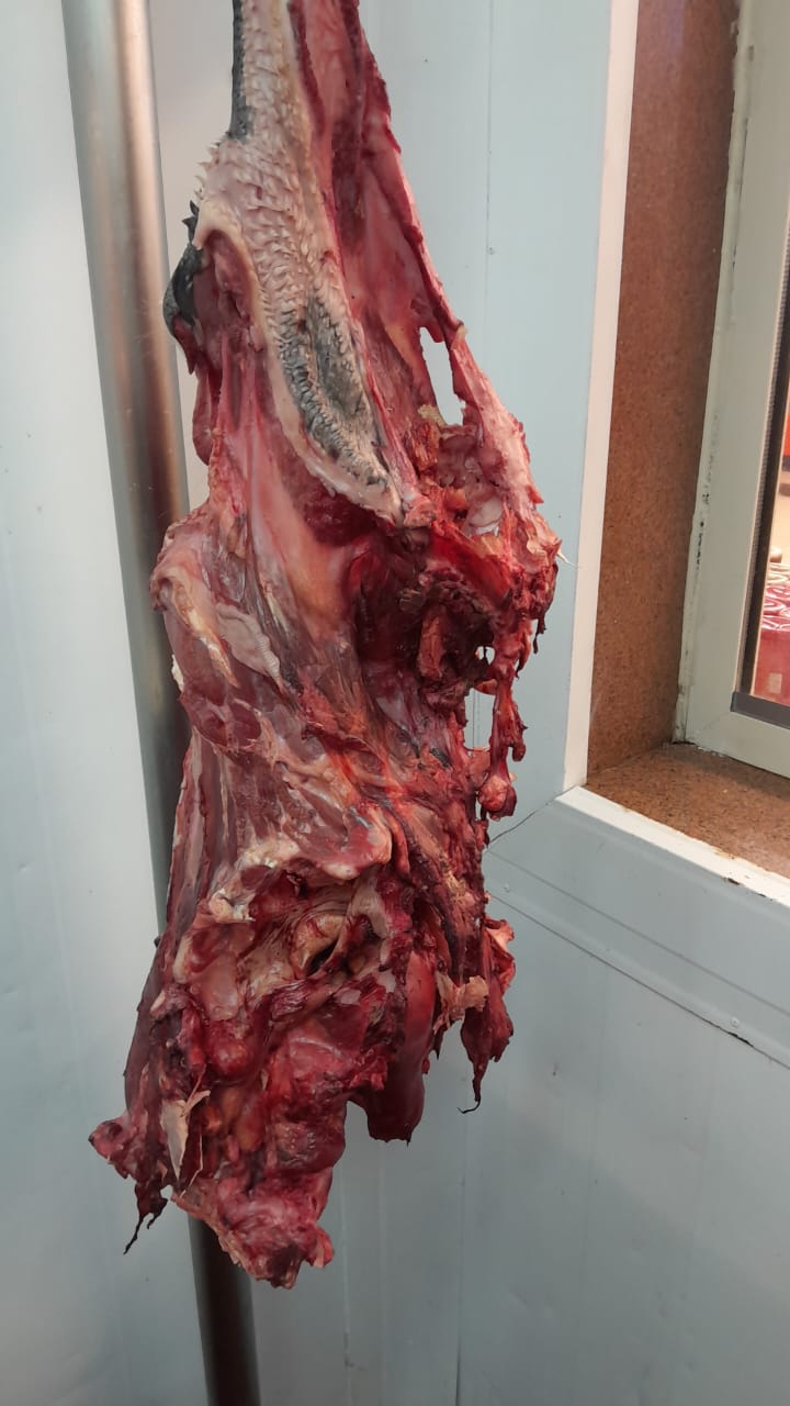 625b72b3-00fa-4118-a0d2-4b6cfb64b189