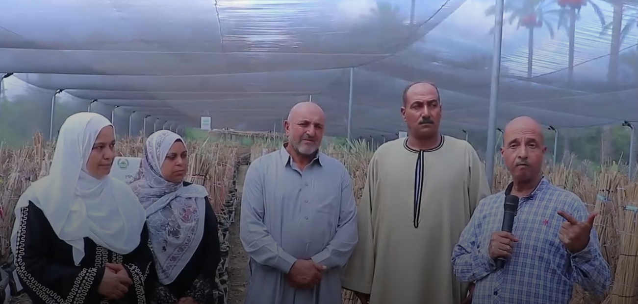 لقاء اليوم السابع بالمزارعين لقاء اليوم السابع بالمزارعين