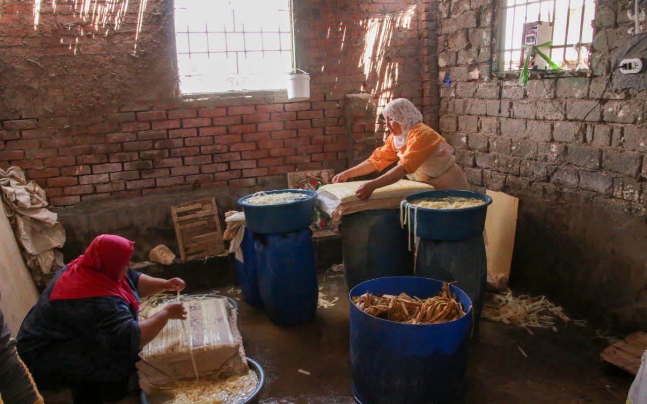 صناعة البردي في الشرقية