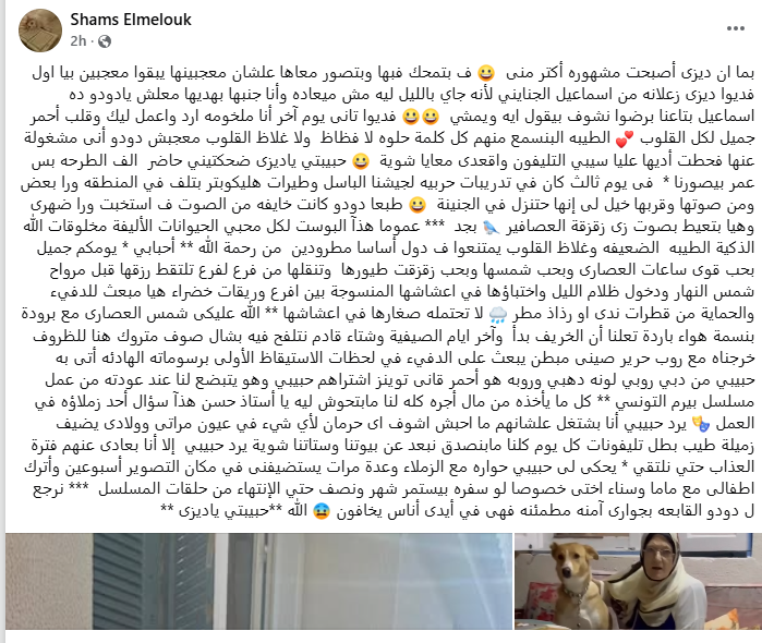 تغريدة شمس